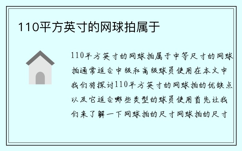 110平方英寸的网球拍属于