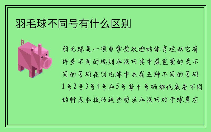 羽毛球不同号有什么区别